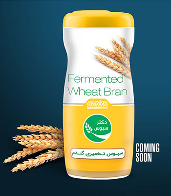 Iran2africa-Parsian-Enzyme-Iranian-Fermented-Wheat-Bran