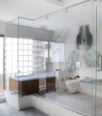Glass Shower Partition Interior