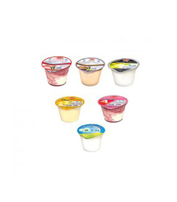 Ice-Cream-Cup-Product