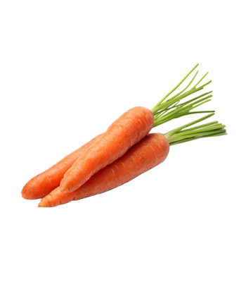 Iran2africa-Carrots-Product