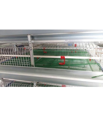 Iran2africa-karnotech-Full-automatic Pullet Cage System