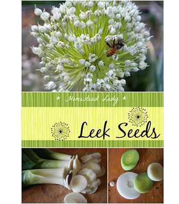 Leek-seeds