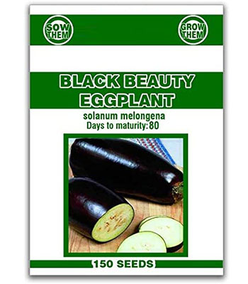 Sweet-Eggplant-seeds