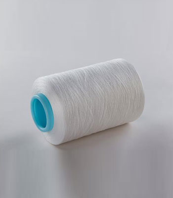 iran2africa-Antibacterial-Polyester-Yarn-product