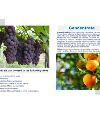 iran2africa-Concentrate-fruit-Natural-Export-Product