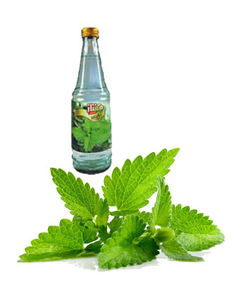 iran2africa-Mint-extract-Product