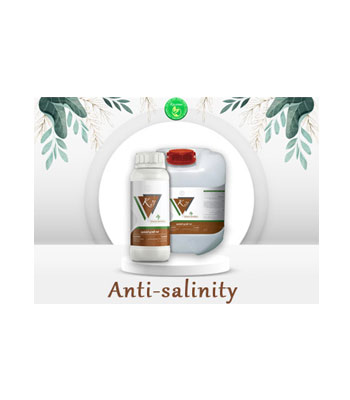 Anti-Salinity-Fertilizer-Product