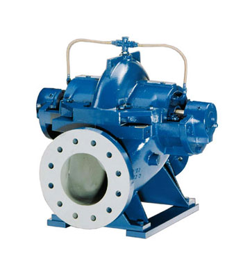 Double-Suction-Pump-(ISO-5199)
