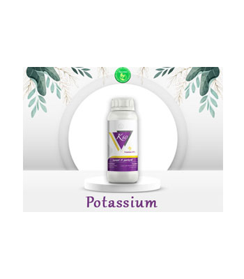 Potassium-Fertilizer-Product